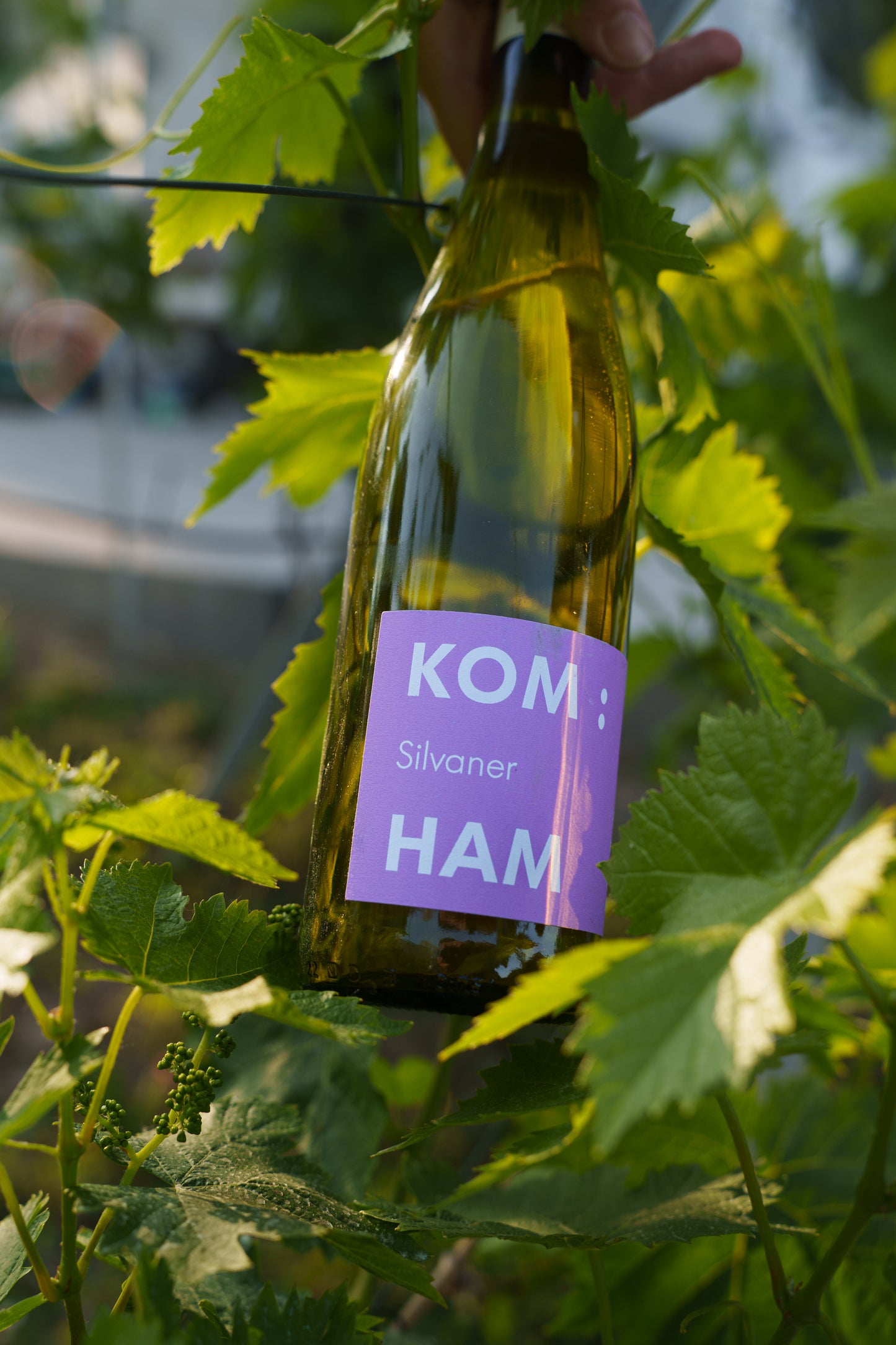 SILVANER